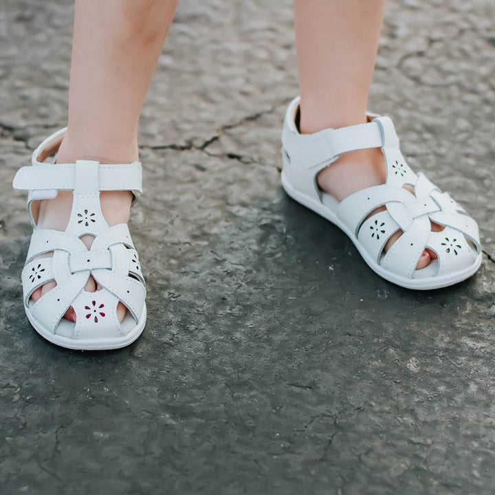 Shoe Size Guide Accurate Foot Measurement Chart pediped